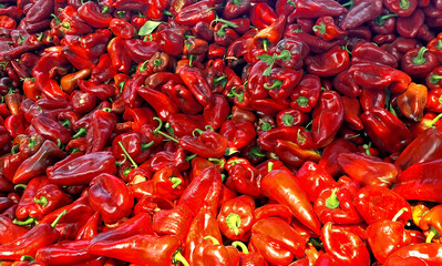 Domestic Red  Pepper; Freshly picked red peppers