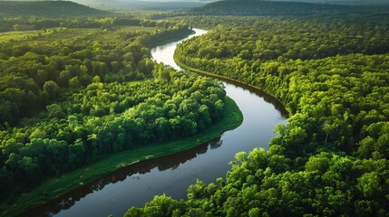 An aerial view of a river winding through a lush green forest.