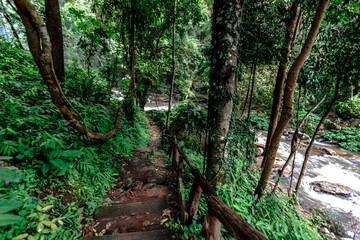 The natural background of the evening twilight, the colorful sky inside Sukhothai Historical Park, a tourist attraction that Europeans always visit.