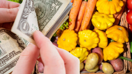 Buying food. Basket with vegetables. Money in hand. Expenses for vegetables. Man is counting dollars. Patisons and carrots in basket. Buying organic vegetables. Food with healthy vitamins