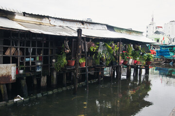 Floating house in harbor of fishing village in Vietnam, Asia, with multiple plants hanging from the porch creating a vertical garden over a canal of dirty water