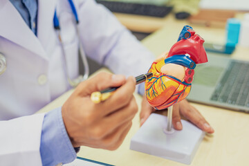 Specialist in diagnosing heart disease, providing expert assessments, treatments, and management...