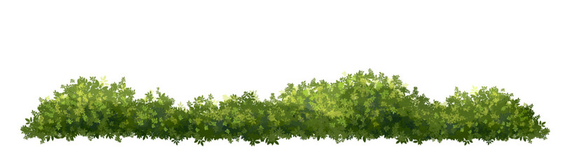 Vertor set of green tree,plants side view for landscape elevations,element for backdrop,eco environment concept design,watercolor greenery scene,shrub