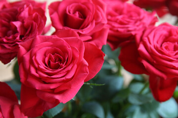 Bouquet of red garden roses.Close-up. Blurred floral background
