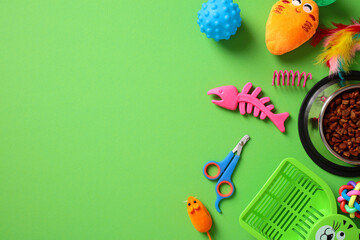 Flat lay pet toys, food and accessories on green background