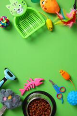Cat accessories and toys on green background. Pet care, training concept. Flat lay, top view.