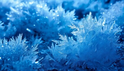 a close-up view of a cluster of ice crystals, with their intricate and delicate structures, set against a blurred blue background.