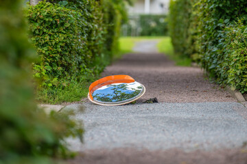 Traffic mirror that has fallen down and now is on the ground.