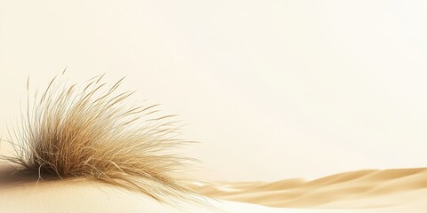 Fototapeta premium A serene desert scene featuring gentle sand dunes and a solitary grass tuft under a soft, warm light.