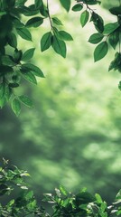 Obraz premium clean background with a soft-focus photo of a lush green forest