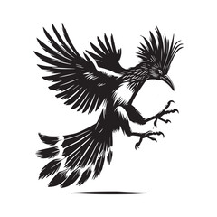 Fototapeta premium Hoatzin Bird Clipart - Hoatzin Vector Illustration in black and white 