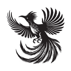 Fototapeta premium Hoatzin Bird Clipart - Hoatzin Bird Vector Illustration in black and white 