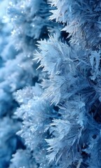 A close-up view of a snow-covered tree branch, showcasing the intricate and delicate patterns of frost and ice.
