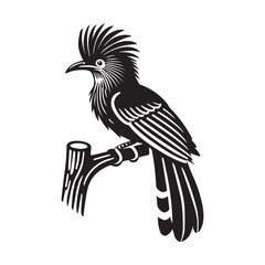 Obraz premium Hoatzin Bird Silhouette Clipart - bird logo design