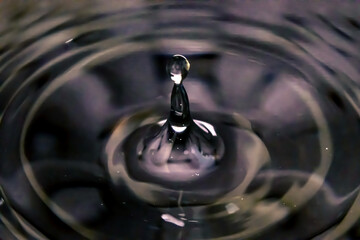 A drop of water making a splash. Macro photo.