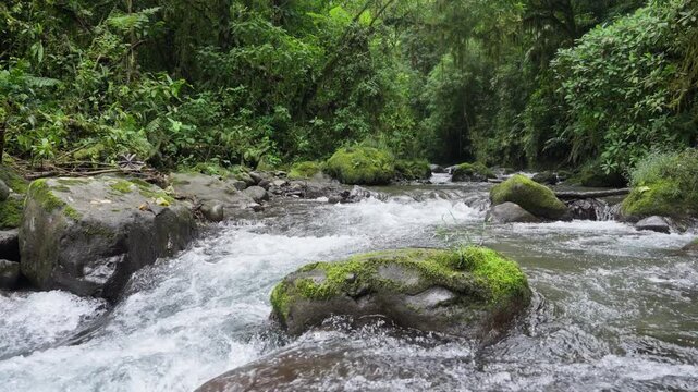 Corriente de r&iacute;o en camara lenta, rodeado de mucha vegetacion en un dia nublado de invierno en el bosque tropical en la monta&ntilde;a de Costa Rica