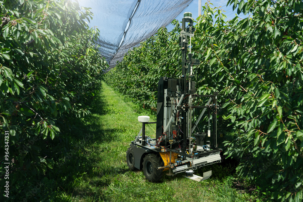 Poster autonomous robot works in a fruit garden. smart farming concept