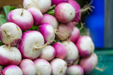Vibrant pink and white radishes piled high at a local market, showcasing fresh produce during the bustling morning hours
