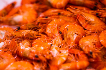 Vibrant whiteleg shrimp basking in a sea of orange, freshly harvested in coastal waters during a sunny morning