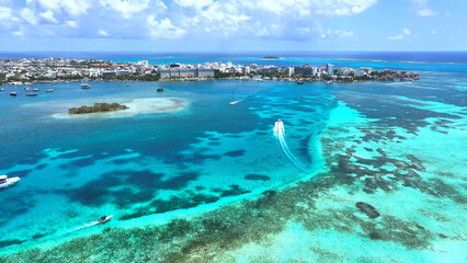 coral reef and sea