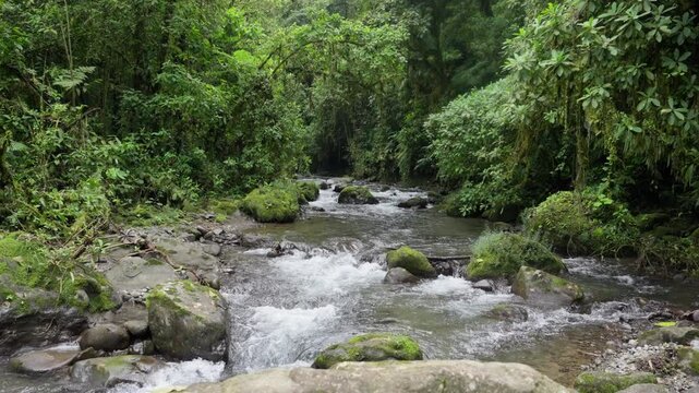 R&iacute;o rodeado de mucha vegetacion en un dia nublado de invierno en el bosque tropical en la monta&ntilde;a de Costa Rica
