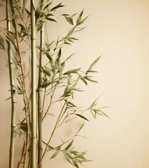Fototapeta premium A close-up view of a bamboo plant with green leaves against a beige background.
