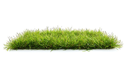 Sport field green grass isolated on white background
