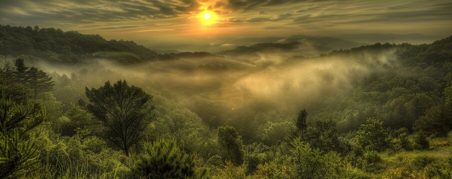Misty morning in the valley, serene, HDR tranquility