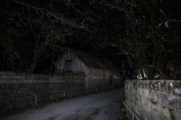 Old house with a Ghost in the forest at misty night or Night scene with House under moon. Old mystic building in dead tree forest.