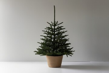 Chic Christmas Pine Tree in Jute Pot on Bright White Surface