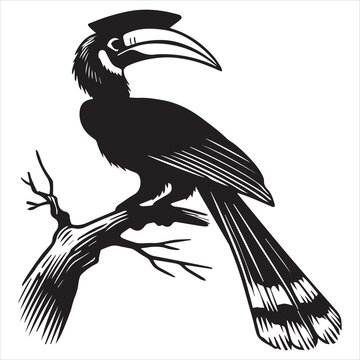 black hornbill perched on branch clip art preview