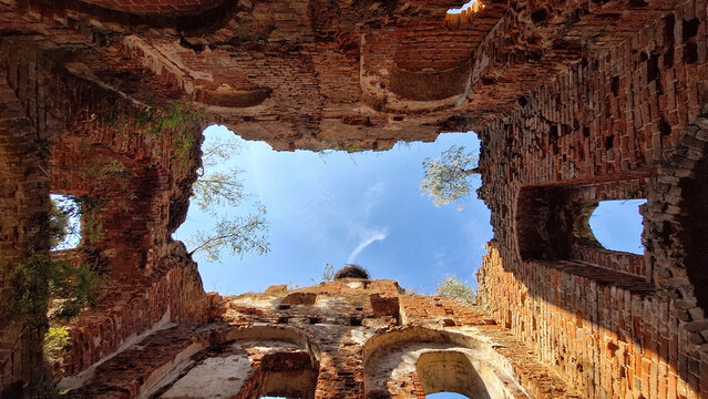 Looking up inside an old ruined medieval brick building. Sky and trees growing above are visible. Background