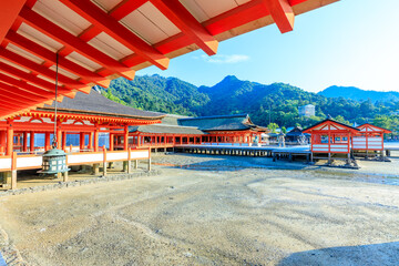 夏の嚴島神社　干潮時　広島県廿日市市　Itsukushima Shrine in summer. At low tide....