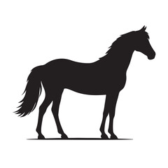 Horse head, horse vector graphics