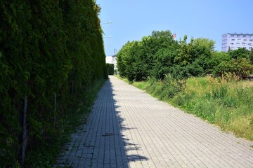 Shadow on the sidewalk from noise protection panels on a summer day. Shelter from the heat.