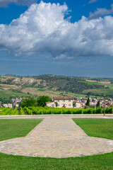 View of a pretty vineyard in the Emilia Romagna region of Italy
