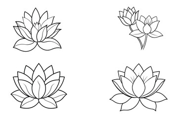 This is american lotus flowers vector with illustration