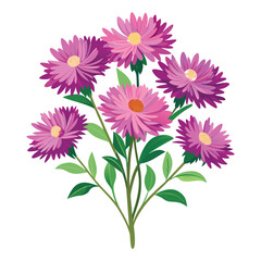 This is aster flowers vector with illustration