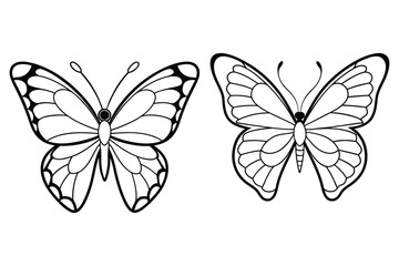 it is very nice vector butterfly illustration
