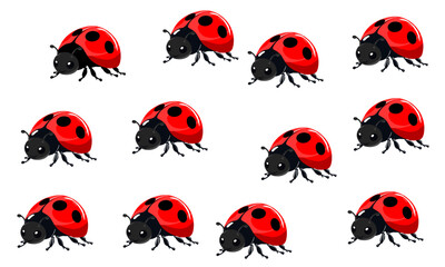 set of ladybugs