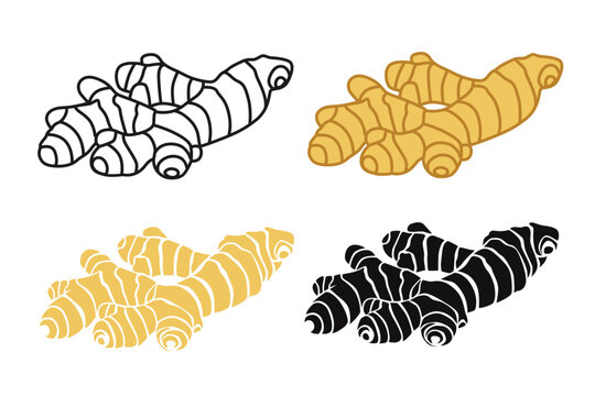 ginger vectorlogo Isolated  on white background.