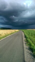 asphaltierter Feldweg durchs Kornfeld