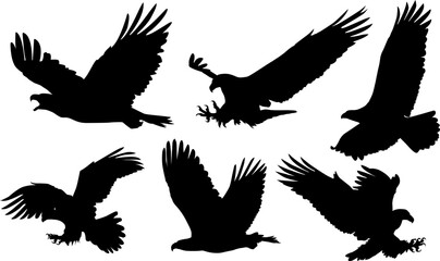 Naklejka premium Animals eagle hawk bird fly swoop attack silhouette set collection on white background vector