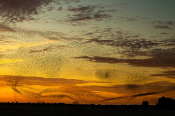 Fotografie miste, scattate in Sardegna. 