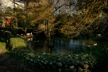 Fotografie miste paesaggistiche e artistiche. 