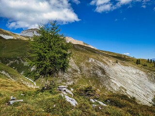 Fototapeta premium Beautiful hiking area around the Haldensteiner Calanda, Untervaz. Fantastic mountain panorama in the Alps. Wanderlust in Switzerland. Summertime. High quality photo
