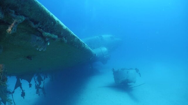 c47 dakota air plane wreck underwater  fish around ocean scenery of airplane and metal on ocean floor  scenery scuba divers to explore