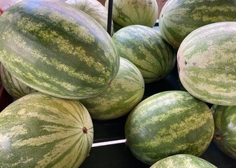 watermelons at the market