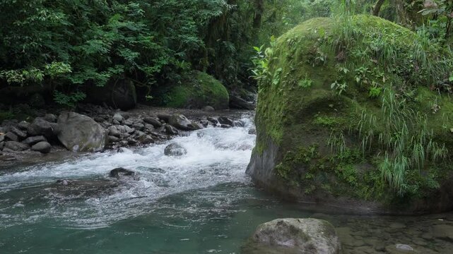 Corriente de r&iacute;o en la monta&ntilde;a en el bosque tropical en c&aacute;mara lenta con roca grande cubierta de musgo