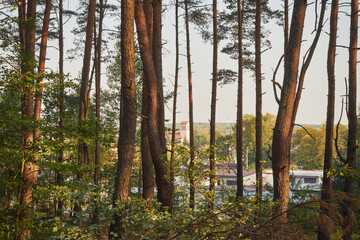 las,kościół © Marcin Łazarczyk